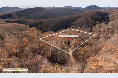 48 & 50 Wild Turkey Run, Black Mountain, NC 28711 - Photo 45