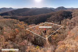 48 & 50 Wild Turkey Run, Black Mountain, NC 28711 - Photo 45