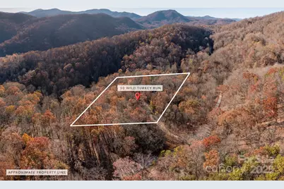 48 & 50 Wild Turkey Run, Black Mountain, NC 28711 - Photo 47