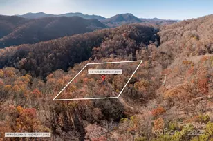 48 & 50 Wild Turkey Run, Black Mountain, NC 28711 - Photo 47