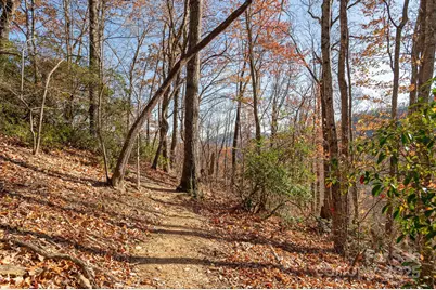 48 & 50 Wild Turkey Run, Black Mountain, NC 28711 - Photo 41