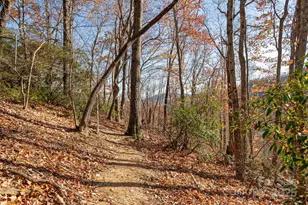 48 & 50 Wild Turkey Run, Black Mountain, NC 28711 - Photo 41