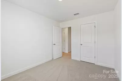 278 Tiger Lily Drive, Fort Mill, SC 29708 - Photo 11