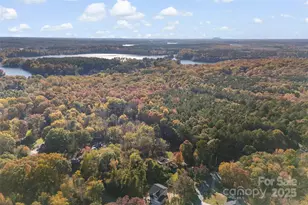 11737 Johnson-Davis Rd, Huntersville, NC 28078 - Photo 47