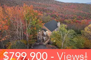 309 Pinnacle Ridge Rd, Beech Mountain, NC 28604 - Photo 1