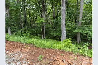 Tbd Junaluska Road, Boone, NC 28607 - Photo 17