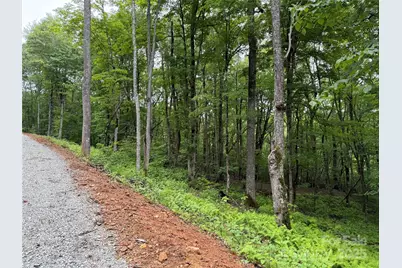 Tbd Junaluska Road, Boone, NC 28607 - Photo 13