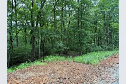 Tbd Junaluska Road, Boone, NC 28607 - Photo 15