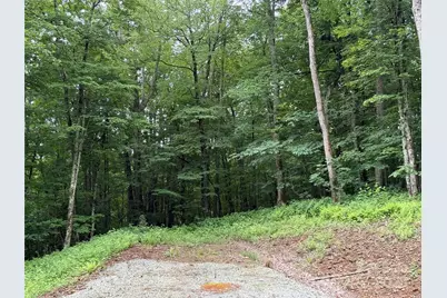 Tbd Junaluska Road, Boone, NC 28607 - Photo 23