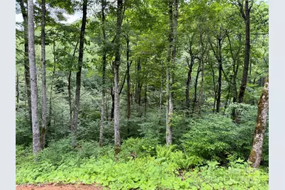 Tbd Junaluska Road, Boone, NC 28607 - Photo 5