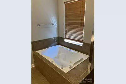 8532 Westmoreland Lake Drive, Cornelius, NC 28031 - Photo 21