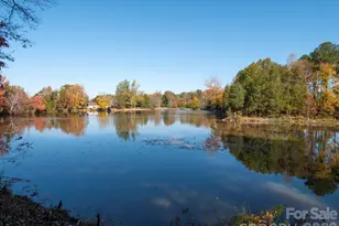 1151 Estate Dr, York, SC 29745 - Photo 43