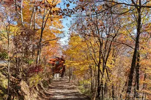 66 Saddle Dr, Maggie Valley, NC 28751 - Photo 27
