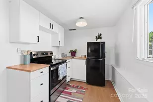 340 Dillingham Cir, Asheville, NC 28805 - Photo 9