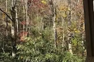 667 Pinewood Knoll Dr, Hendersonville, NC 28739 - Photo 27