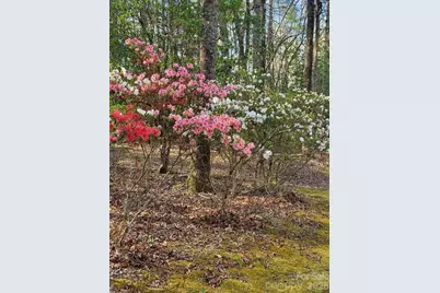 667 Pinewood Knoll Drive, Hendersonville, NC 28739 - Photo 3