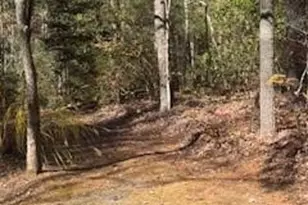 667 Pinewood Knoll Dr, Hendersonville, NC 28739 - Photo 21