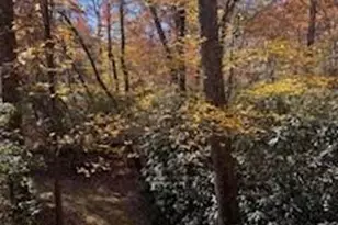 667 Pinewood Knoll Dr, Hendersonville, NC 28739 - Photo 29