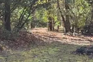 667 Pinewood Knoll Dr, Hendersonville, NC 28739 - Photo 25