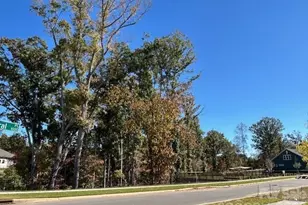 1002 Pastoral Pl, Waxhaw, NC 28173 - Photo 3