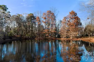 12408 Cedar Fall Dr, Huntersville, NC 28078 - Photo 39