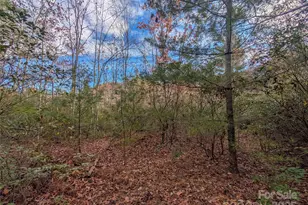 Lot 27 Cherry Hollow None, Burnsville, NC 28714 - Photo 13