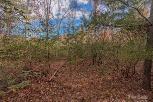 Lot 27 Cherry Hollow None, Burnsville, NC 28714 - Photo 11