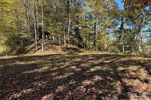 0 Glory Mountain Rd, Bryson City, NC 28713 - Photo 5