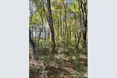 0000 Joes Road, Locust, NC 28097 - Photo 5