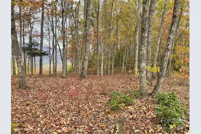 Lot 8 Rocky Ridge Road, Almond, NC 28702 - Photo 7