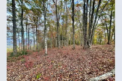 Lot 8 Rocky Ridge Road, Almond, NC 28702 - Photo 5