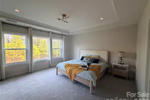 374 Hampton Trail Dr, Fort Mill, SC 29708 - Photo 29