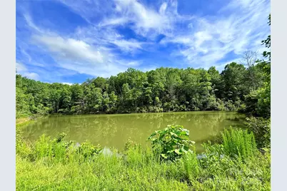 221 Summerfield Lane, Rutherfordton, NC 28139 - Photo 11