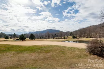 30 La Vista Drive, Mills River, NC 28759 - Photo 25