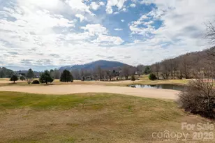 30 La Vista Dr, Mills River, NC 28759 - Photo 25