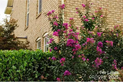 916 Gardners Way, Cornelius, NC 28031 - Photo 9