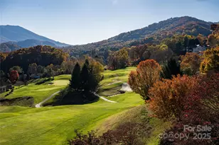 820 Laurel Ridge Dr, Waynesville, NC 28786 - Photo 41