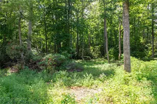 245 White Oak Creek Rd, Burnsville, NC 28714 - Photo 33