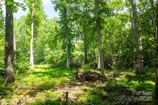 245 White Oak Creek Rd, Burnsville, NC 28714 - Photo 39