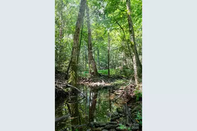 245 White Oak Creek Road, Burnsville, NC 28714 - Photo 29