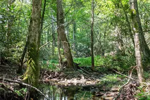 245 White Oak Creek Rd, Burnsville, NC 28714 - Photo 29