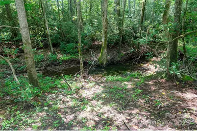 245 White Oak Creek Road, Burnsville, NC 28714 - Photo 25