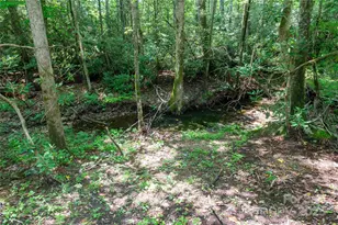 245 White Oak Creek Rd, Burnsville, NC 28714 - Photo 25