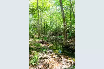 245 White Oak Creek Road, Burnsville, NC 28714 - Photo 31