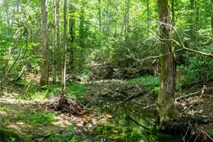 245 White Oak Creek Rd, Burnsville, NC 28714 - Photo 31