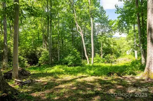 245 White Oak Creek Rd, Burnsville, NC 28714 - Photo 35