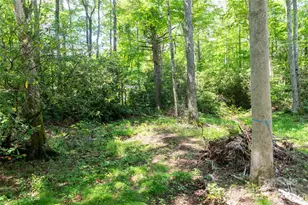 245 White Oak Creek Rd, Burnsville, NC 28714 - Photo 37