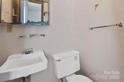 150 Trent Road, Brevard, NC 28712 - Photo 13