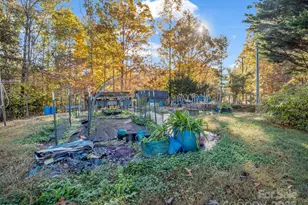 262 Daisy Ln, Bostic, NC 28018 - Photo 33