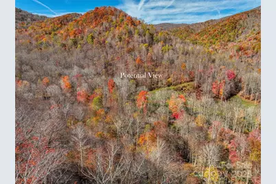 000 Pearl Way #12, Burnsville, NC 28714 - Photo 3